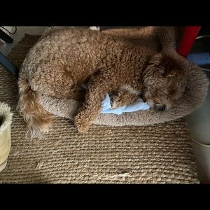 Meet your Posher, Julia